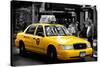 Safari CityPop Collection - NYC Union Square II-Philippe Hugonnard-Stretched Canvas