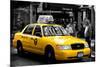 Safari CityPop Collection - NYC Union Square II-Philippe Hugonnard-Mounted Photographic Print