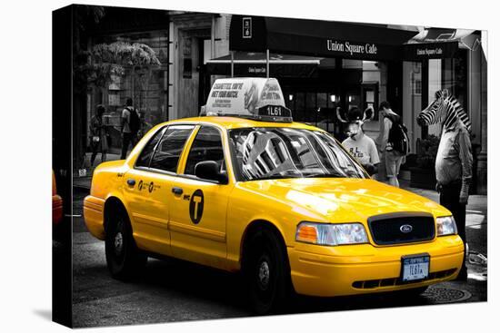 Safari CityPop Collection - NYC Union Square II-Philippe Hugonnard-Stretched Canvas