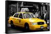 Safari CityPop Collection - NYC Union Square II-Philippe Hugonnard-Framed Stretched Canvas