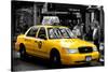 Safari CityPop Collection - NYC Union Square II-Philippe Hugonnard-Stretched Canvas