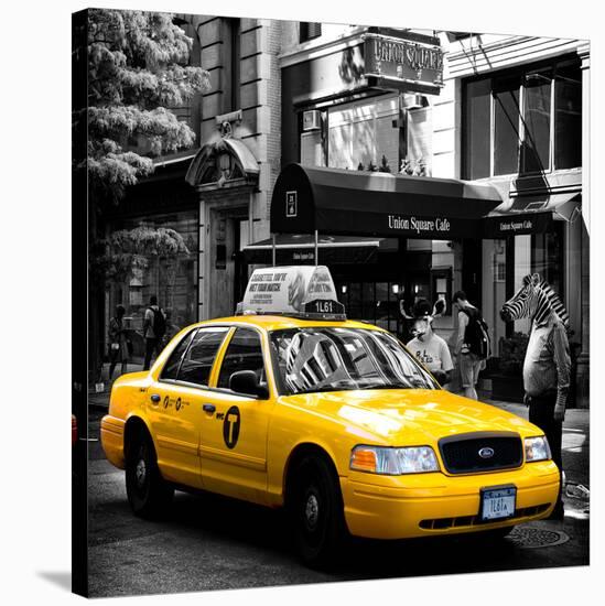 Safari CityPop Collection - NYC Union Square III-Philippe Hugonnard-Stretched Canvas