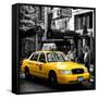 Safari CityPop Collection - NYC Union Square III-Philippe Hugonnard-Framed Stretched Canvas