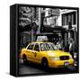 Safari CityPop Collection - NYC Union Square III-Philippe Hugonnard-Framed Stretched Canvas