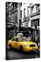 Safari CityPop Collection - NYC Union Square-Philippe Hugonnard-Stretched Canvas