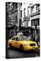 Safari CityPop Collection - NYC Union Square-Philippe Hugonnard-Stretched Canvas