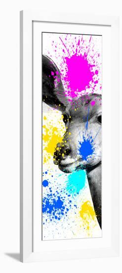 Safari Colors Pop Collection - Antelope II-Philippe Hugonnard-Framed Giclee Print