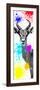 Safari Colors Pop Collection - Antelope Impala II-Philippe Hugonnard-Framed Giclee Print