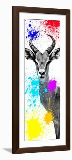 Safari Colors Pop Collection - Antelope Impala II-Philippe Hugonnard-Framed Premium Giclee Print