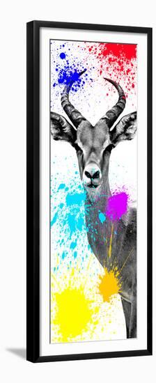 Safari Colors Pop Collection - Antelope Impala II-Philippe Hugonnard-Framed Premium Giclee Print