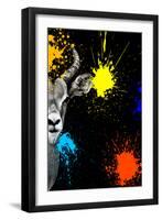 Safari Colors Pop Collection - Antelope Impala Portrait-Philippe Hugonnard-Framed Giclee Print