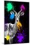 Safari Colors Pop Collection - Antelope Impala-Philippe Hugonnard-Mounted Giclee Print