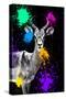 Safari Colors Pop Collection - Antelope Impala-Philippe Hugonnard-Stretched Canvas