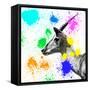 Safari Colors Pop Collection - Antelope IV-Philippe Hugonnard-Framed Stretched Canvas
