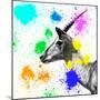 Safari Colors Pop Collection - Antelope IV-Philippe Hugonnard-Mounted Giclee Print