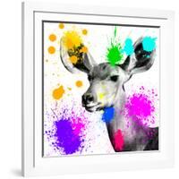 Safari Colors Pop Collection - Antelope Portrait II-Philippe Hugonnard-Framed Giclee Print