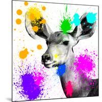 Safari Colors Pop Collection - Antelope Portrait II-Philippe Hugonnard-Mounted Giclee Print