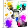 Safari Colors Pop Collection - Antelope Portrait II-Philippe Hugonnard-Mounted Giclee Print