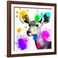 Safari Colors Pop Collection - Antelope Portrait II-Philippe Hugonnard-Framed Giclee Print