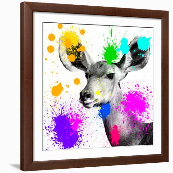 Safari Colors Pop Collection - Antelope Portrait II-Philippe Hugonnard-Framed Giclee Print