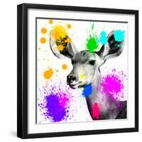 Safari Colors Pop Collection - Antelope Portrait II-Philippe Hugonnard-Framed Giclee Print