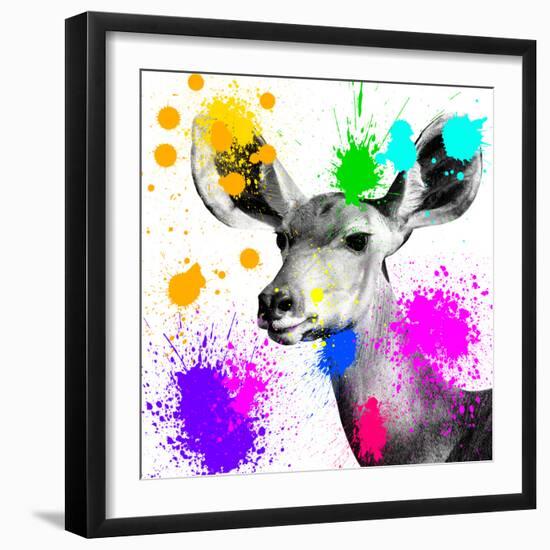 Safari Colors Pop Collection - Antelope Portrait II-Philippe Hugonnard-Framed Giclee Print