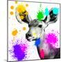 Safari Colors Pop Collection - Antelope Portrait II-Philippe Hugonnard-Mounted Giclee Print