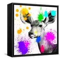 Safari Colors Pop Collection - Antelope Portrait II-Philippe Hugonnard-Framed Stretched Canvas