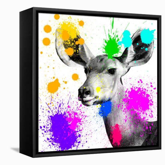 Safari Colors Pop Collection - Antelope Portrait II-Philippe Hugonnard-Framed Stretched Canvas