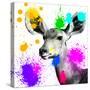 Safari Colors Pop Collection - Antelope Portrait II-Philippe Hugonnard-Stretched Canvas