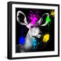 Safari Colors Pop Collection - Antelope Portrait IV-Philippe Hugonnard-Framed Giclee Print