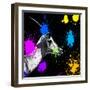 Safari Colors Pop Collection - Antelope Profile III-Philippe Hugonnard-Framed Giclee Print