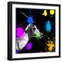 Safari Colors Pop Collection - Antelope Profile III-Philippe Hugonnard-Framed Giclee Print