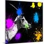 Safari Colors Pop Collection - Antelope Profile III-Philippe Hugonnard-Mounted Giclee Print