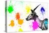 Safari Colors Pop Collection - Antelope Profile IV-Philippe Hugonnard-Stretched Canvas