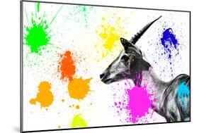 Safari Colors Pop Collection - Antelope Profile IV-Philippe Hugonnard-Mounted Premium Giclee Print