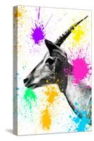 Safari Colors Pop Collection - Antelope Profile-Philippe Hugonnard-Stretched Canvas