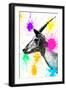 Safari Colors Pop Collection - Antelope Profile-Philippe Hugonnard-Framed Giclee Print