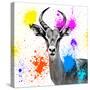 Safari Colors Pop Collection - Antelope Reedbuck III-Philippe Hugonnard-Stretched Canvas