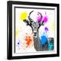 Safari Colors Pop Collection - Antelope Reedbuck III-Philippe Hugonnard-Framed Giclee Print