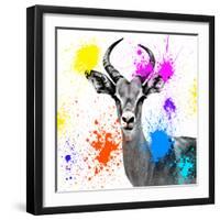 Safari Colors Pop Collection - Antelope Reedbuck III-Philippe Hugonnard-Framed Giclee Print