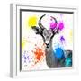 Safari Colors Pop Collection - Antelope Reedbuck III-Philippe Hugonnard-Framed Giclee Print