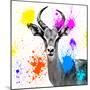 Safari Colors Pop Collection - Antelope Reedbuck III-Philippe Hugonnard-Mounted Giclee Print