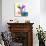 Safari Colors Pop Collection - Antelope Reedbuck III-Philippe Hugonnard-Giclee Print displayed on a wall