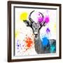 Safari Colors Pop Collection - Antelope Reedbuck III-Philippe Hugonnard-Framed Giclee Print