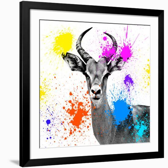 Safari Colors Pop Collection - Antelope Reedbuck III-Philippe Hugonnard-Framed Giclee Print