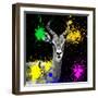 Safari Colors Pop Collection - Antelope Reedbuck IV-Philippe Hugonnard-Framed Giclee Print