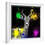 Safari Colors Pop Collection - Antelope Reedbuck IV-Philippe Hugonnard-Framed Giclee Print