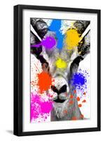 Safari Colors Pop Collection - Antelope Reedbuck-Philippe Hugonnard-Framed Giclee Print