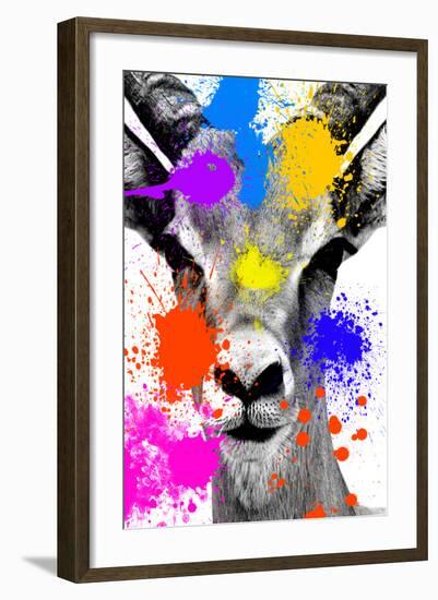 Safari Colors Pop Collection - Antelope Reedbuck-Philippe Hugonnard-Framed Giclee Print
